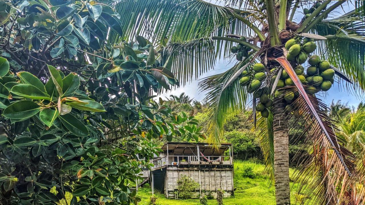 Guanaja Backpackers Hostel ภายนอก รูปภาพ