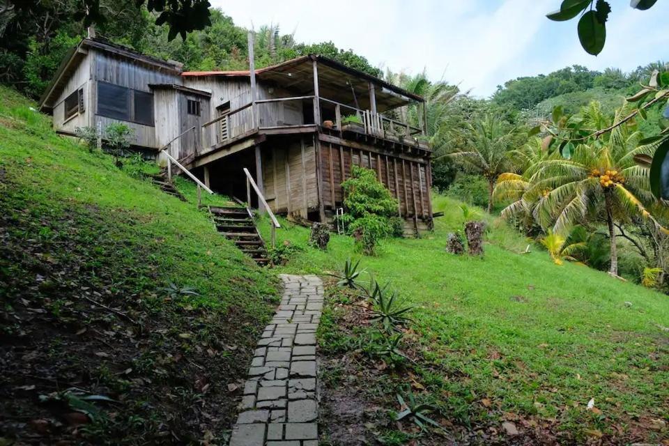 Guanaja Backpackers Hostel ภายนอก รูปภาพ